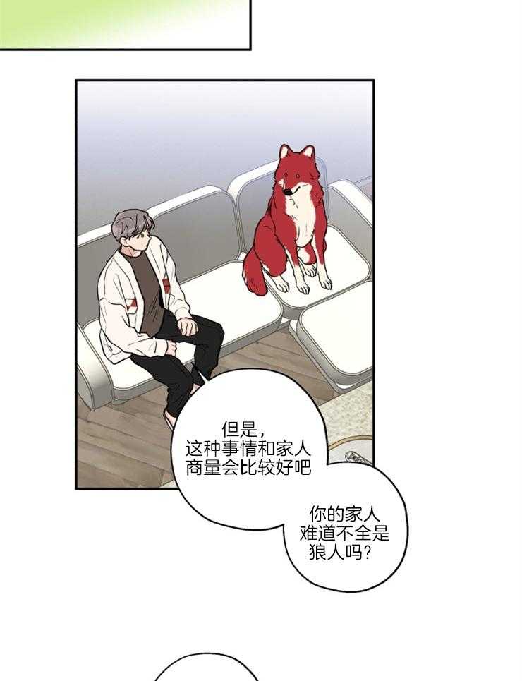 《蠢狼抱枕饲养录》漫画最新章节第39话 和我试试免费下拉式在线观看章节第【17】张图片