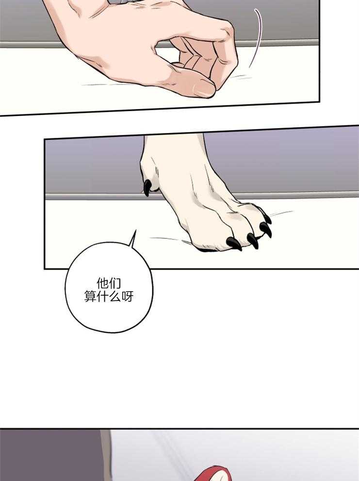 《蠢狼抱枕饲养录》漫画最新章节第39话 和我试试免费下拉式在线观看章节第【7】张图片