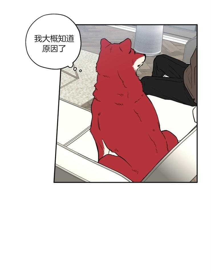 《蠢狼抱枕饲养录》漫画最新章节第40话 目标是你免费下拉式在线观看章节第【10】张图片