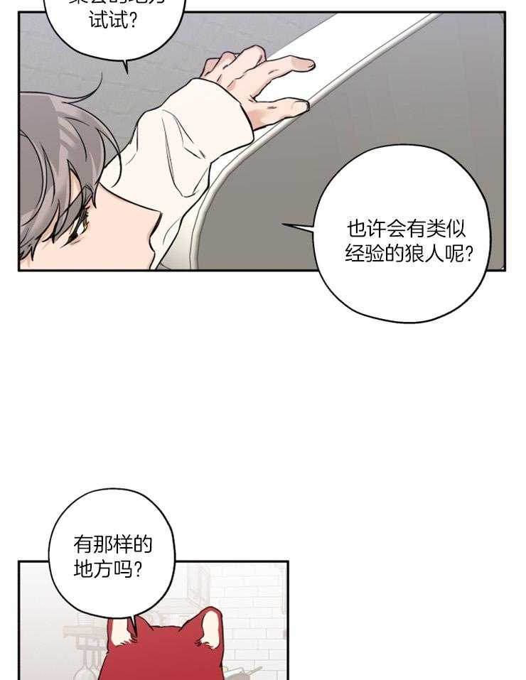 《蠢狼抱枕饲养录》漫画最新章节第40话 目标是你免费下拉式在线观看章节第【13】张图片