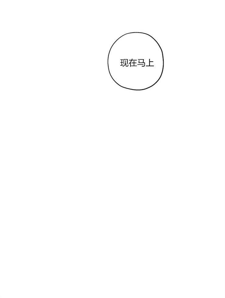 《蠢狼抱枕饲养录》漫画最新章节第41话 迫不及待免费下拉式在线观看章节第【1】张图片