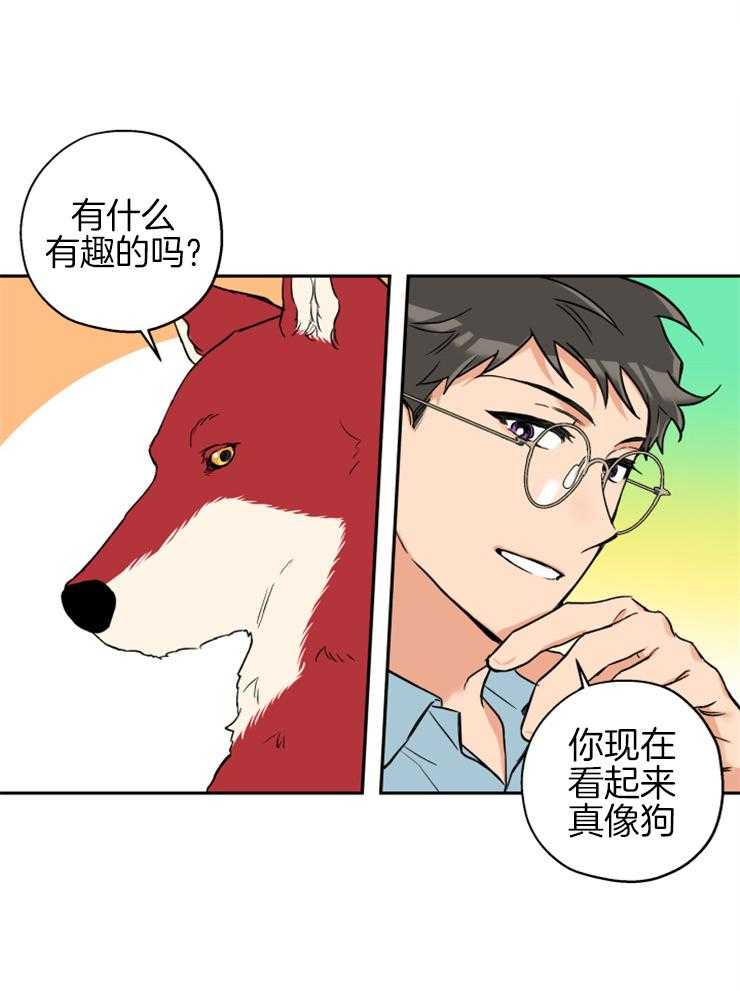 《蠢狼抱枕饲养录》漫画最新章节第60话 真像只狗免费下拉式在线观看章节第【15】张图片