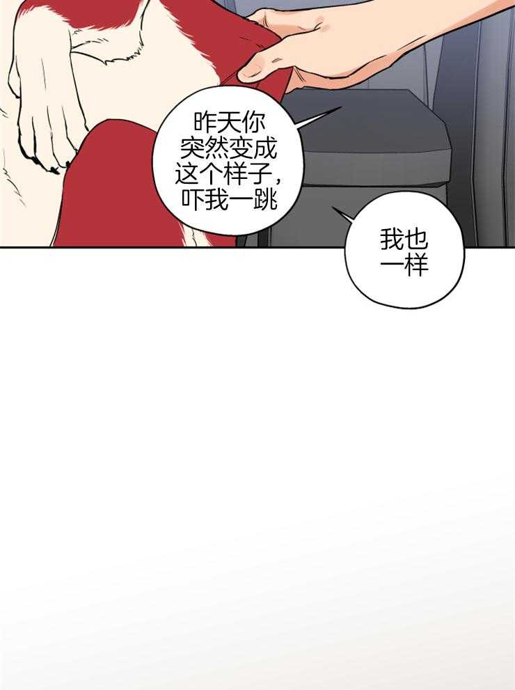 《蠢狼抱枕饲养录》漫画最新章节第60话 真像只狗免费下拉式在线观看章节第【13】张图片