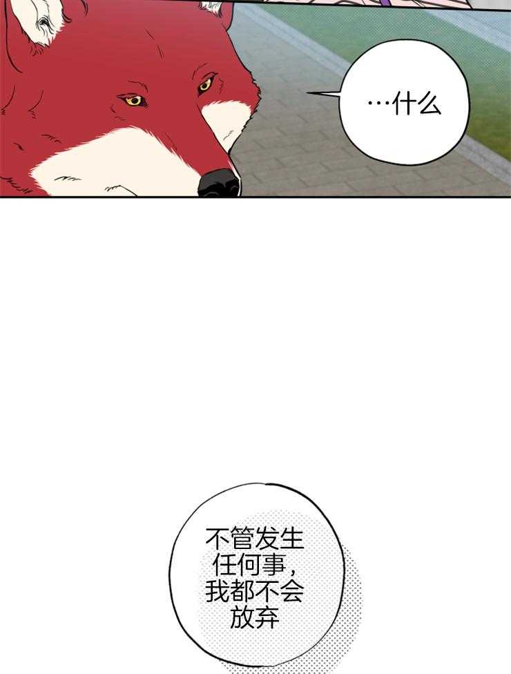 《蠢狼抱枕饲养录》漫画最新章节第61话 不会放弃免费下拉式在线观看章节第【10】张图片