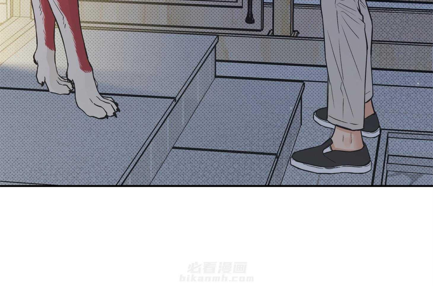 《蠢狼抱枕饲养录》漫画最新章节第97话 见面免费下拉式在线观看章节第【37】张图片