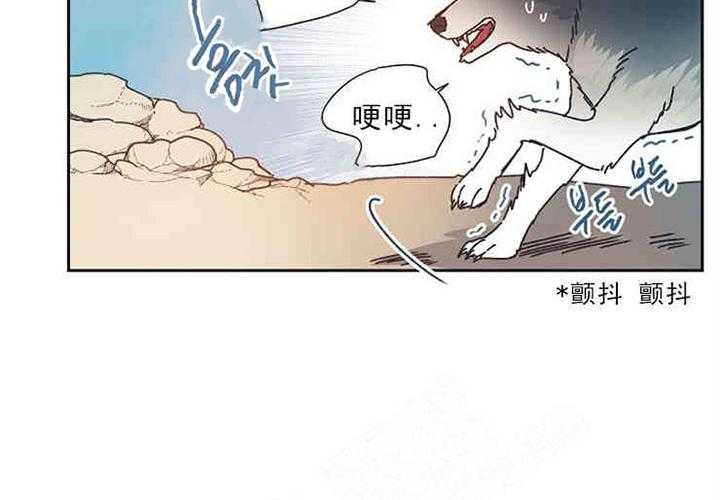 《属于我的骑士》漫画最新章节第8话 8_狼的袭击免费下拉式在线观看章节第【17】张图片