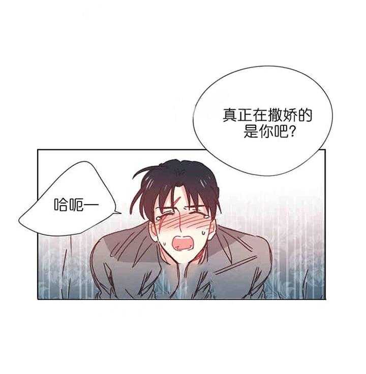 《属于我的骑士》漫画最新章节第12话 我爱你免费下拉式在线观看章节第【4】张图片