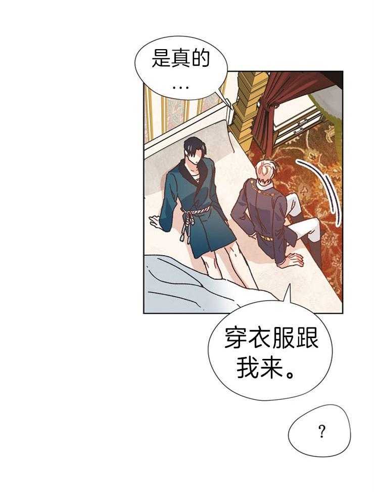 《属于我的骑士》漫画最新章节第38话 理由免费下拉式在线观看章节第【17】张图片