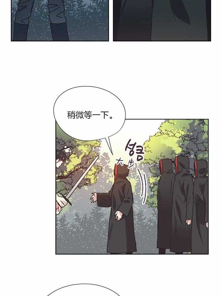 《属于我的骑士》漫画最新章节第53话 被袭击免费下拉式在线观看章节第【6】张图片