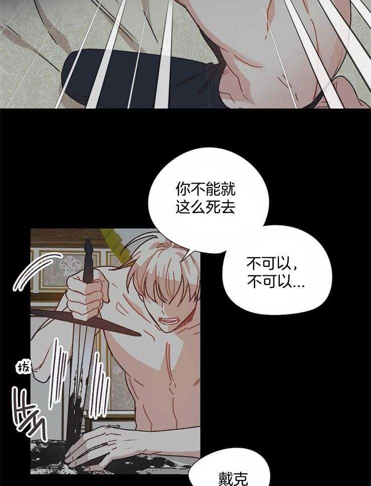 《属于我的骑士》漫画最新章节第65话 事情的真相免费下拉式在线观看章节第【12】张图片