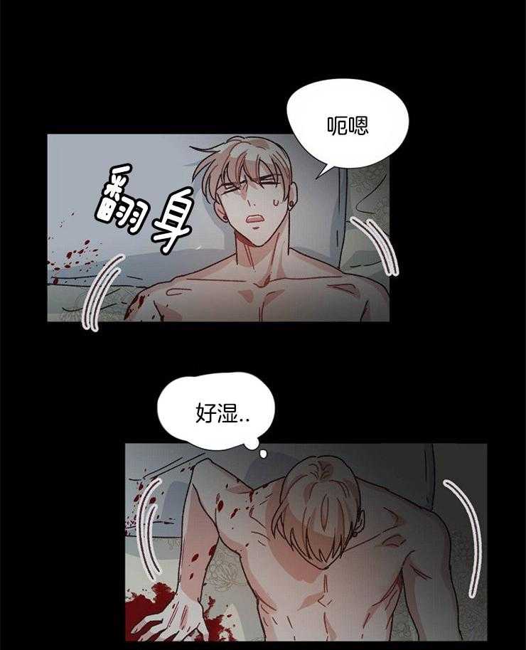 《属于我的骑士》漫画最新章节第65话 事情的真相免费下拉式在线观看章节第【17】张图片