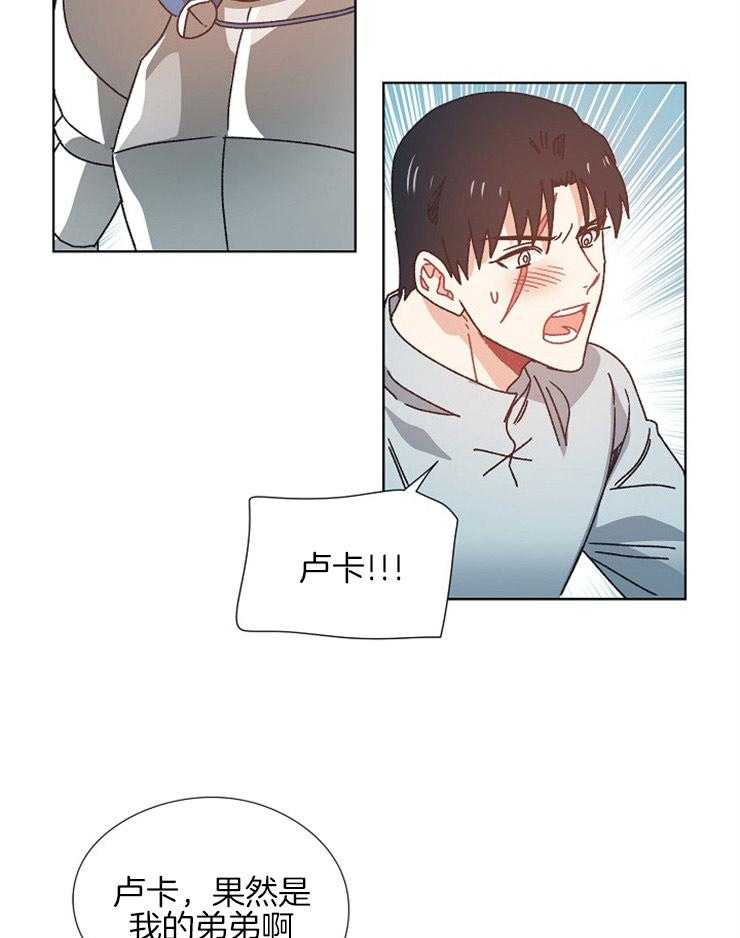 《属于我的骑士》漫画最新章节第70话 决定处刑免费下拉式在线观看章节第【9】张图片