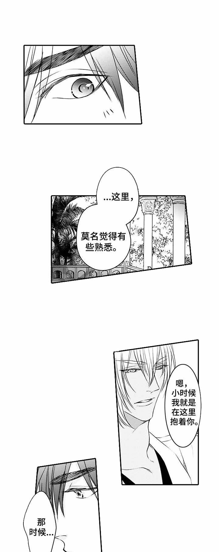 《A与A的对决》漫画最新章节第24话 求婚免费下拉式在线观看章节第【8】张图片