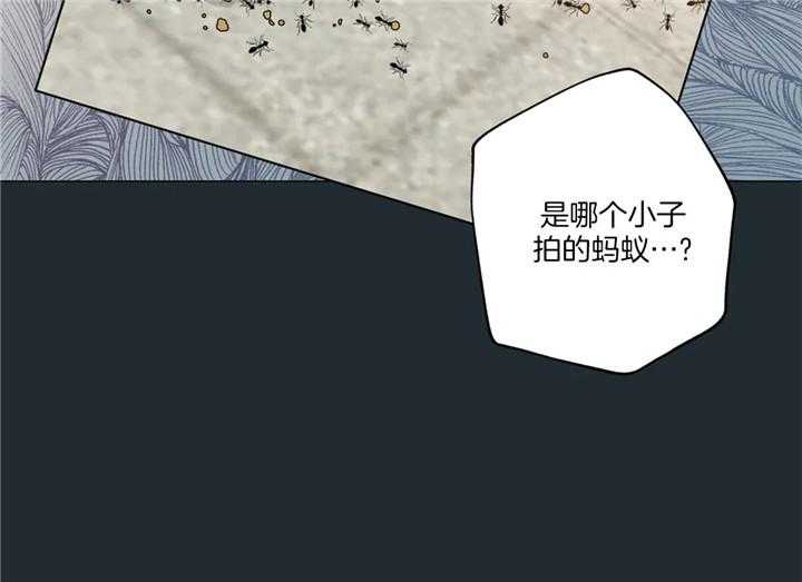 《第三人》漫画最新章节第23话 23_初遇免费下拉式在线观看章节第【26】张图片