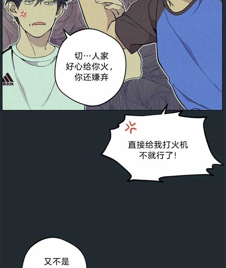 《第三人》漫画最新章节第66话 你和他们不一样免费下拉式在线观看章节第【37】张图片