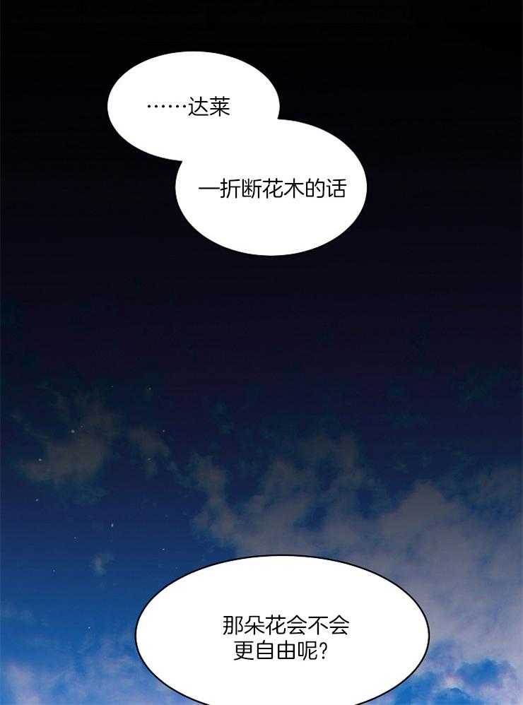 《掌心之花》漫画最新章节第19话 他会是小姐吗免费下拉式在线观看章节第【3】张图片