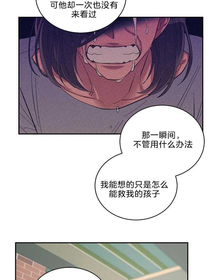 《掌心之花》漫画最新章节第48话 母亲的坦白免费下拉式在线观看章节第【15】张图片