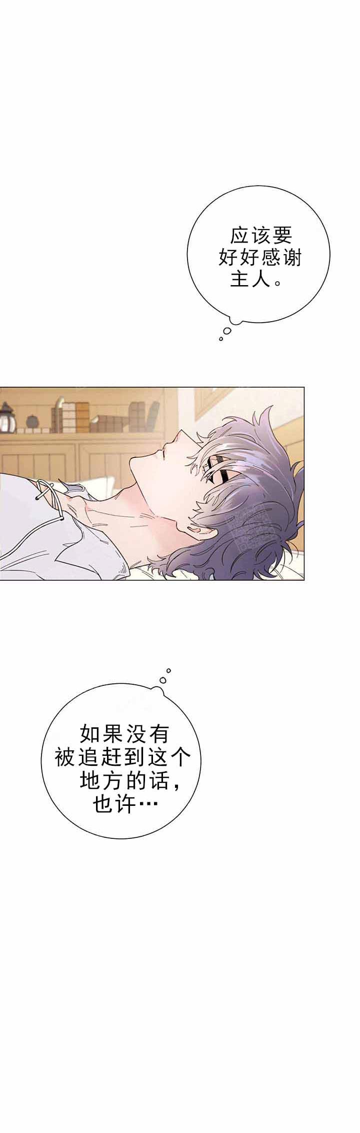 《宠爱主人》漫画最新章节第4话 4_不对劲免费下拉式在线观看章节第【10】张图片