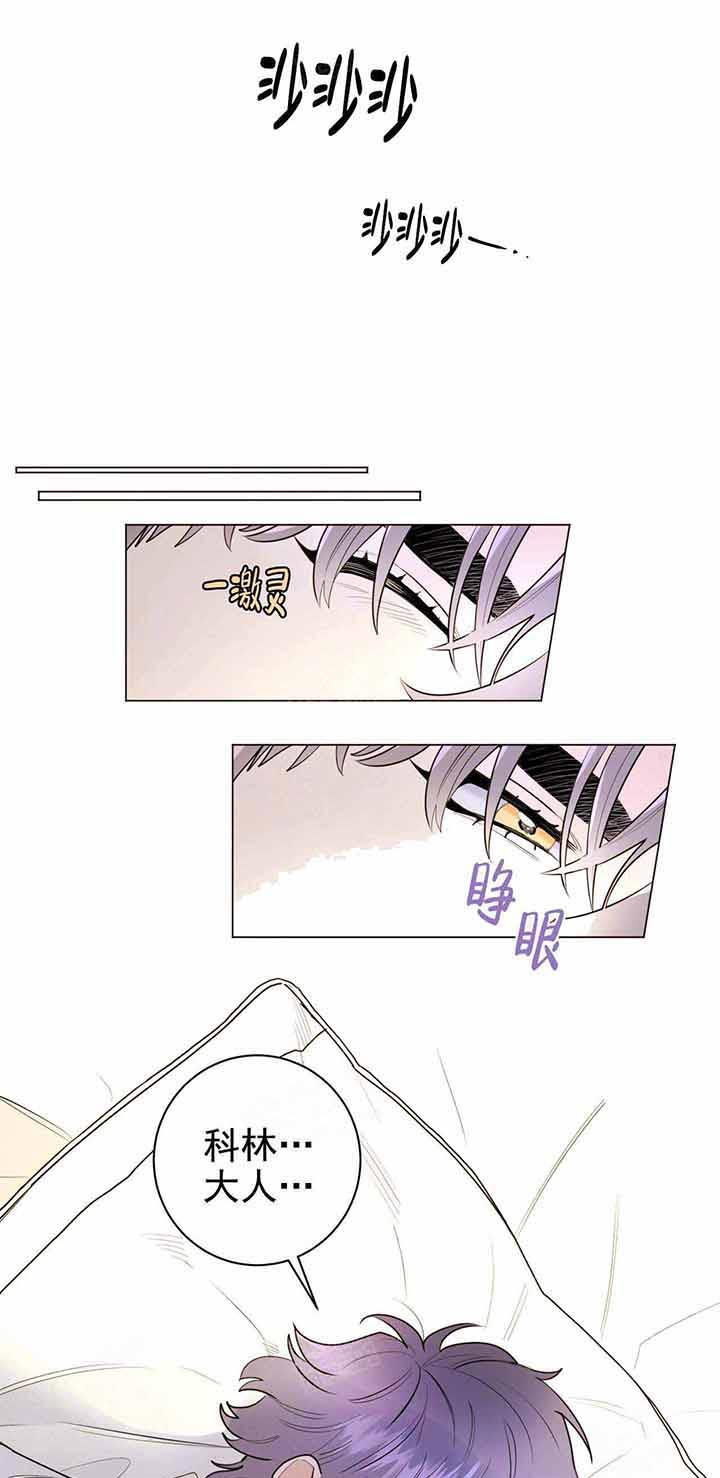 《宠爱主人》漫画最新章节第19话 19_一起睡免费下拉式在线观看章节第【2】张图片