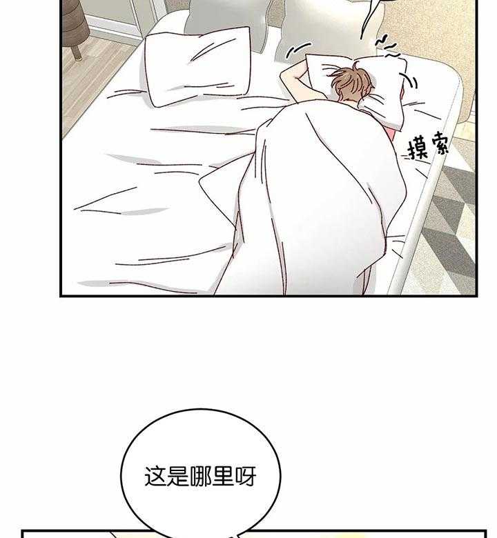 《理事的甜点》漫画最新章节第37话 给与切实的补偿免费下拉式在线观看章节第【28】张图片