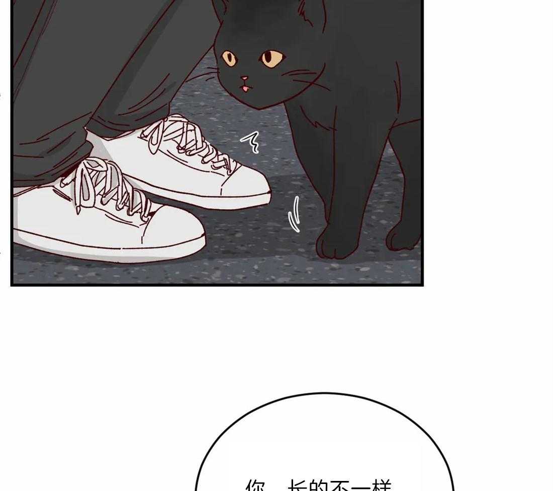 《理事的甜点》漫画最新章节第40话 有福气免费下拉式在线观看章节第【6】张图片