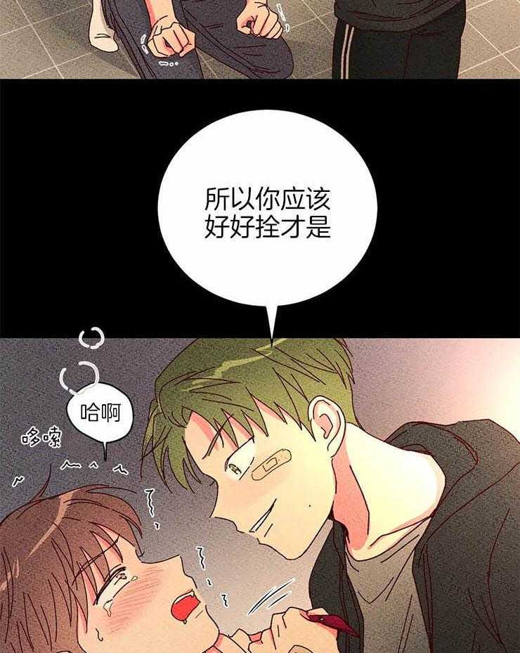 《理事的甜点》漫画最新章节第54话 全部毁掉免费下拉式在线观看章节第【20】张图片