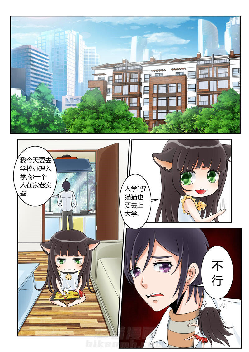 《吾家猫猫大人》漫画最新章节第2话 2免费下拉式在线观看章节第【15】张图片