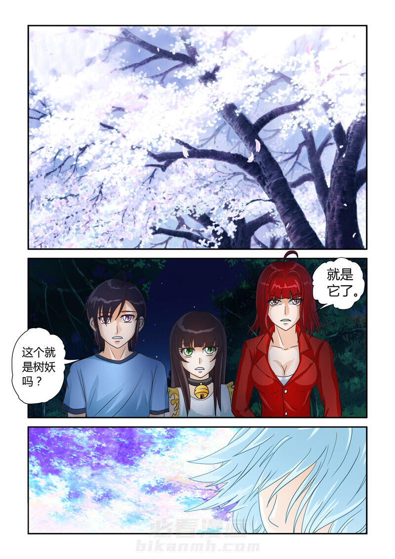 《吾家猫猫大人》漫画最新章节第11话 11免费下拉式在线观看章节第【13】张图片