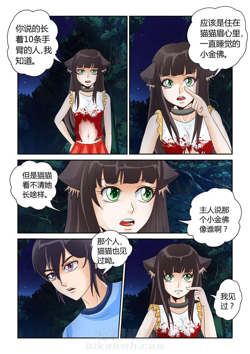 《吾家猫猫大人》漫画最新章节第19话 19免费下拉式在线观看章节第【12】张图片