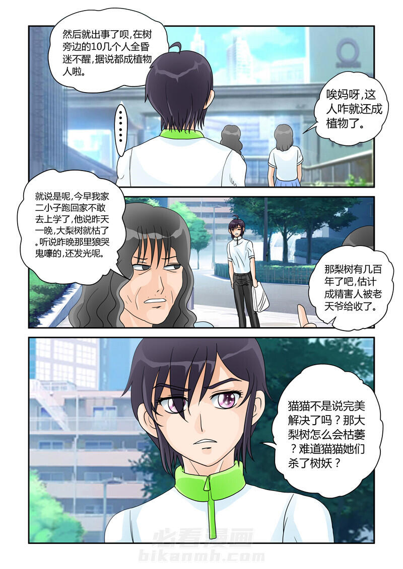 《吾家猫猫大人》漫画最新章节第22话 22免费下拉式在线观看章节第【13】张图片