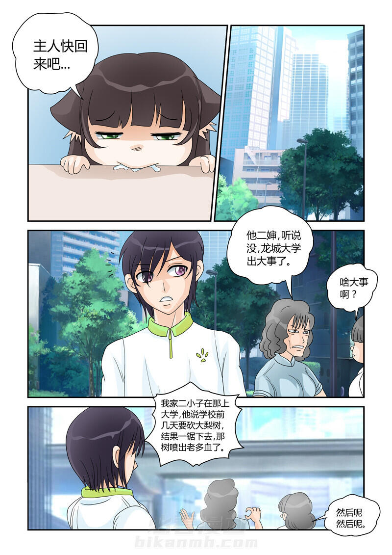 《吾家猫猫大人》漫画最新章节第22话 22免费下拉式在线观看章节第【14】张图片