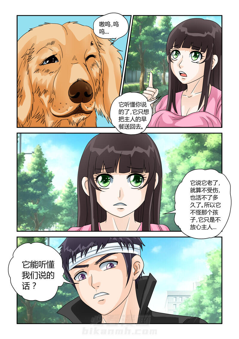 《吾家猫猫大人》漫画最新章节第29话 29免费下拉式在线观看章节第【11】张图片