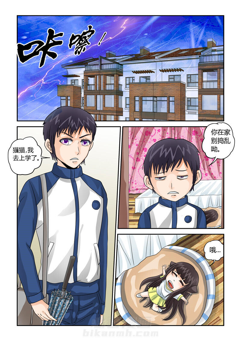 《吾家猫猫大人》漫画最新章节第35话 35免费下拉式在线观看章节第【10】张图片