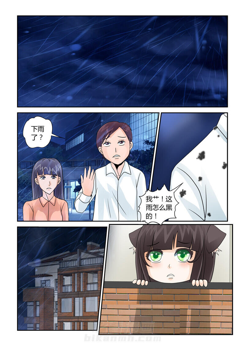 《吾家猫猫大人》漫画最新章节第35话 35免费下拉式在线观看章节第【14】张图片