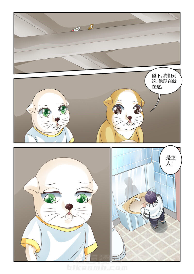 《吾家猫猫大人》漫画最新章节第61话 61免费下拉式在线观看章节第【2】张图片