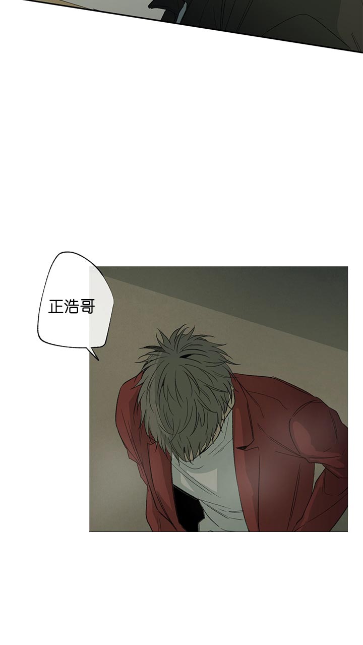 《同情的形式（共2季）》漫画最新章节第71话 高手免费下拉式在线观看章节第【4】张图片