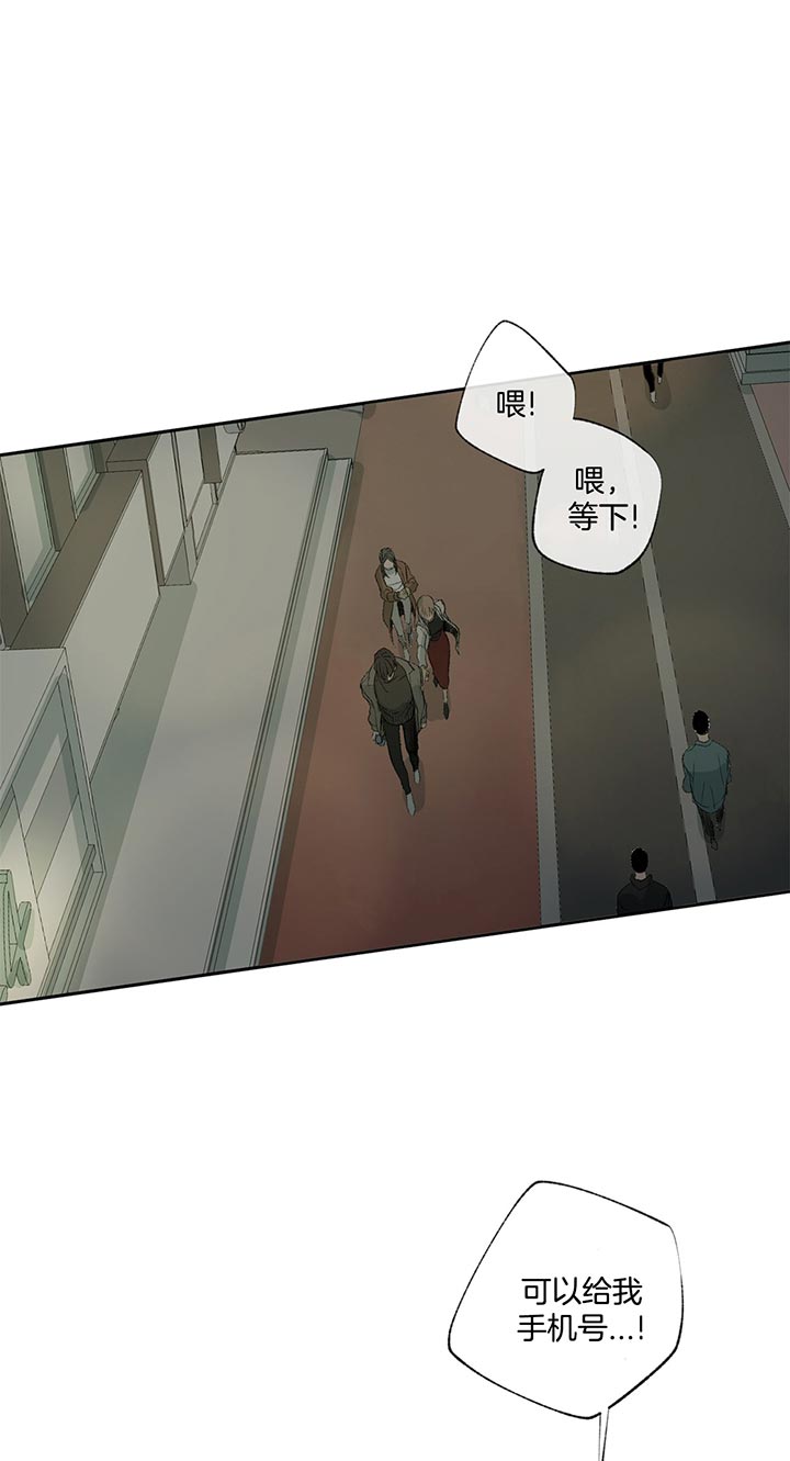 《同情的形式（共2季）》漫画最新章节第78话 遇见免费下拉式在线观看章节第【15】张图片