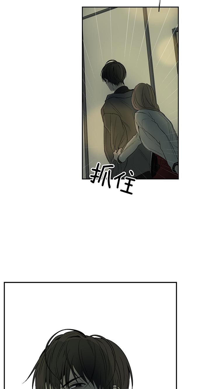 《同情的形式（共2季）》漫画最新章节第78话 遇见免费下拉式在线观看章节第【14】张图片