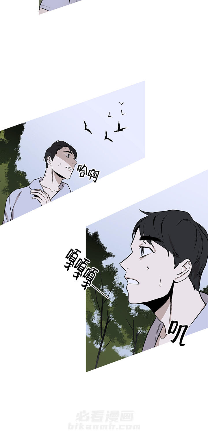 《不飞的鸟》漫画最新章节第11话 11免费下拉式在线观看章节第【4】张图片