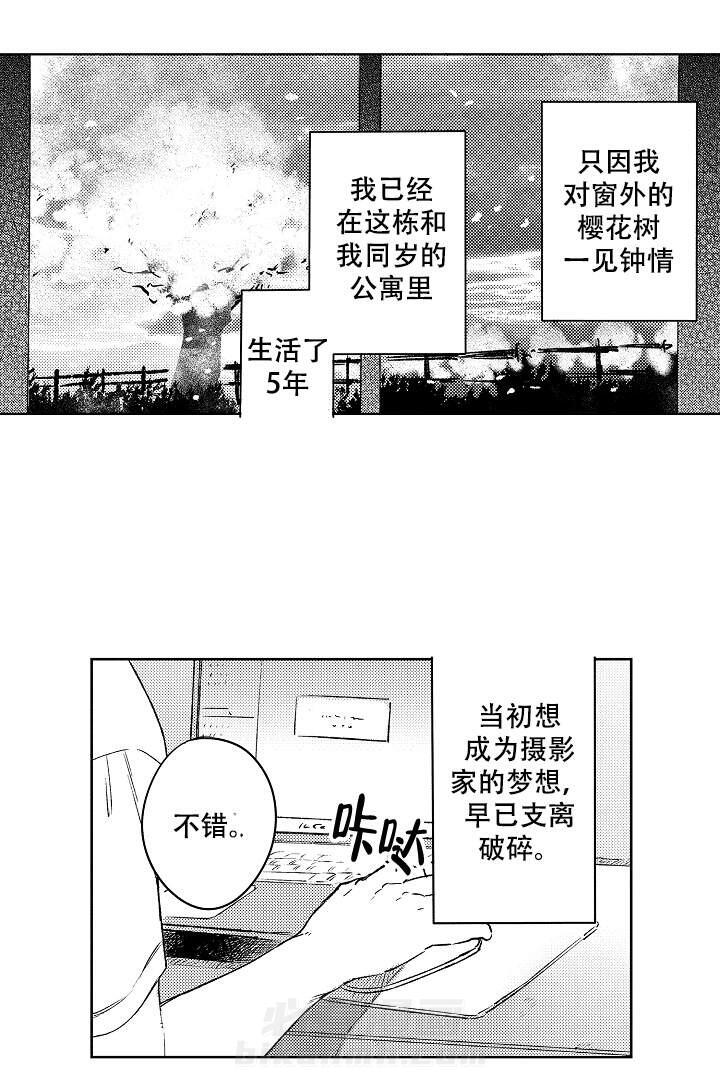 《让风拂过你的心》漫画最新章节第1话 1免费下拉式在线观看章节第【13】张图片