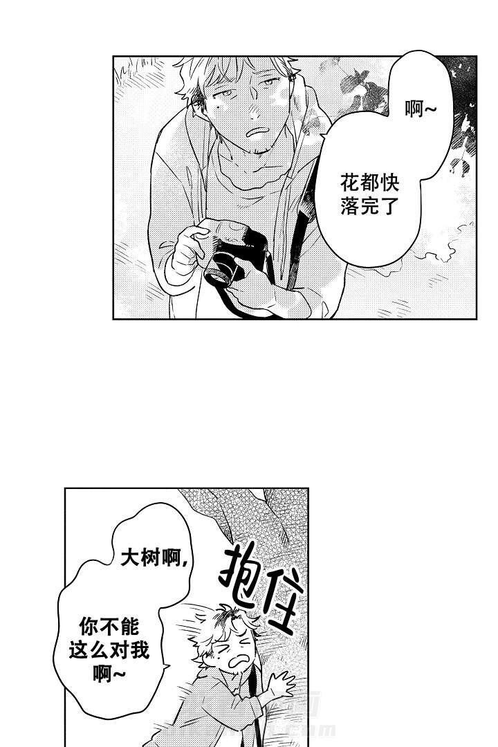 《让风拂过你的心》漫画最新章节第1话 1免费下拉式在线观看章节第【2】张图片