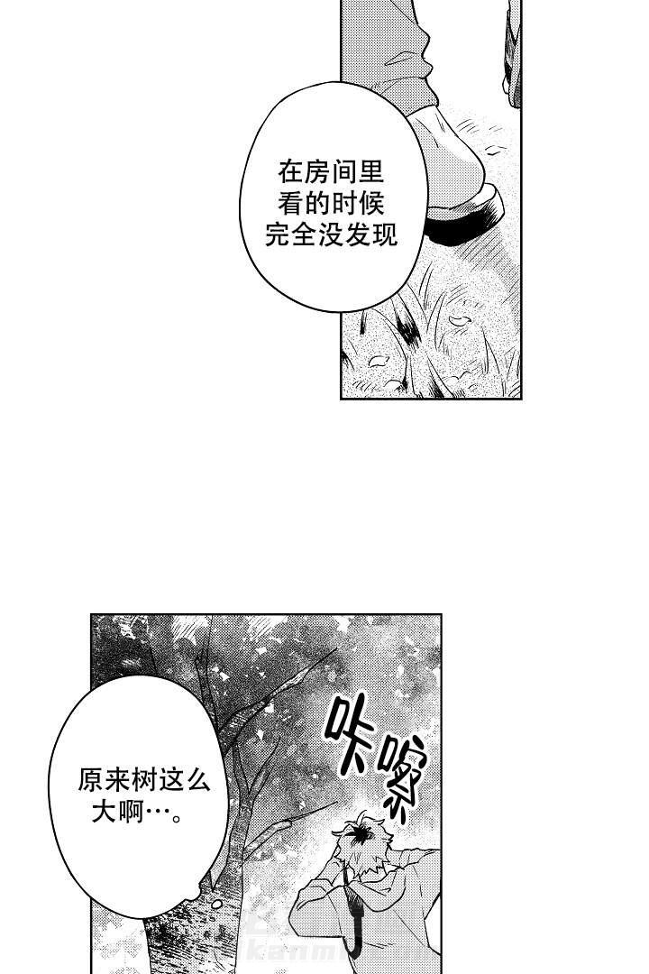 《让风拂过你的心》漫画最新章节第2话 2免费下拉式在线观看章节第【14】张图片