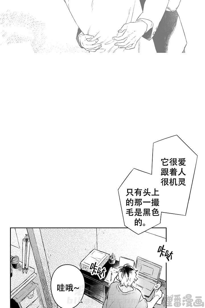 《让风拂过你的心》漫画最新章节第15话 15免费下拉式在线观看章节第【7】张图片