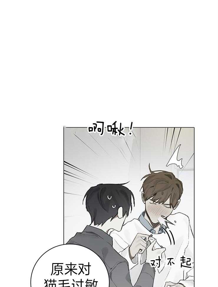 《达成协议》漫画最新章节第63话 猫毛过敏免费下拉式在线观看章节第【21】张图片