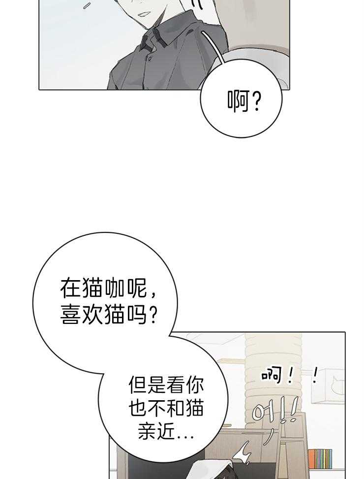 《达成协议》漫画最新章节第63话 猫毛过敏免费下拉式在线观看章节第【16】张图片