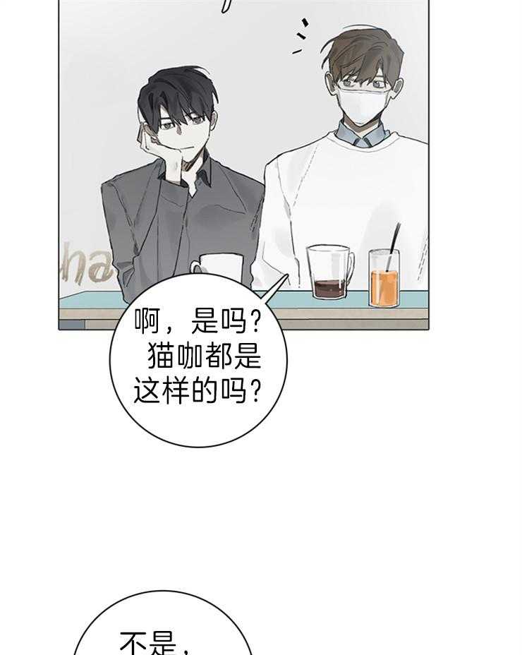 《达成协议》漫画最新章节第63话 猫毛过敏免费下拉式在线观看章节第【13】张图片