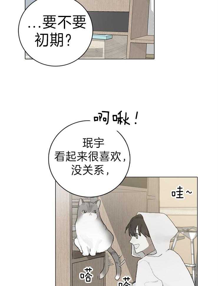 《达成协议》漫画最新章节第63话 猫毛过敏免费下拉式在线观看章节第【19】张图片