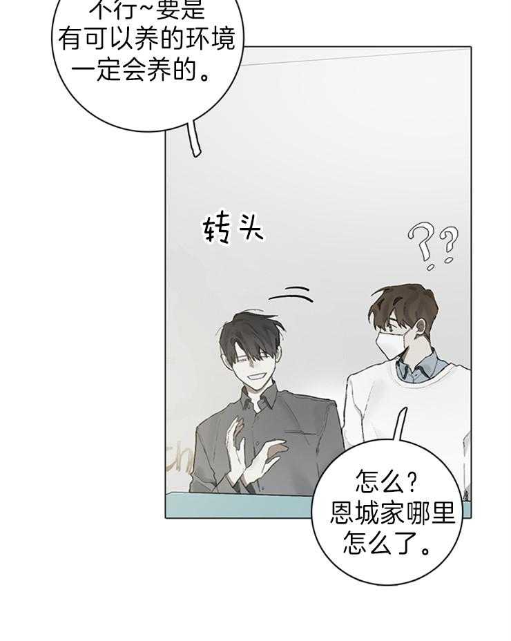 《达成协议》漫画最新章节第63话 猫毛过敏免费下拉式在线观看章节第【7】张图片