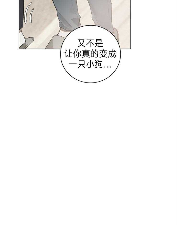 《达成协议》漫画最新章节第63话 猫毛过敏免费下拉式在线观看章节第【1】张图片