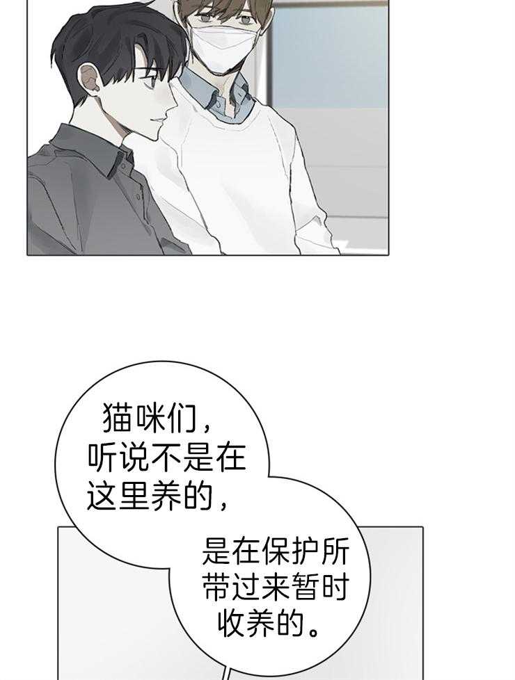 《达成协议》漫画最新章节第63话 猫毛过敏免费下拉式在线观看章节第【14】张图片